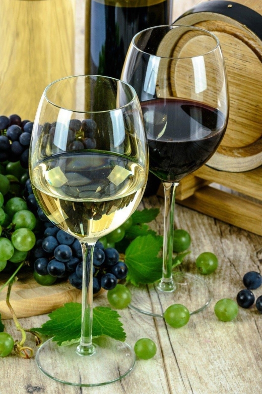 Aperitive guided cruise « Wine and Canelé » - Seeing Bordeaux from the Garonne