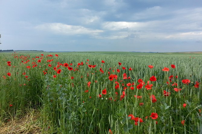 Australian private Somme tour including Sir John Monash Centre - Lochnagar Crater and the scale of the first attack