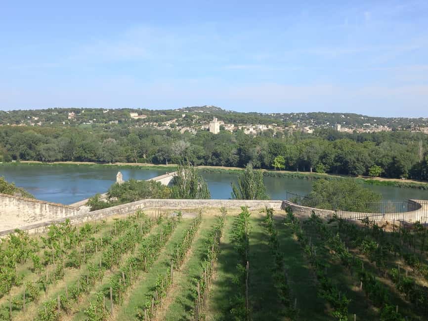 Avignon: City Walking Tour with Popes Palace Entry - Why the wine finish works