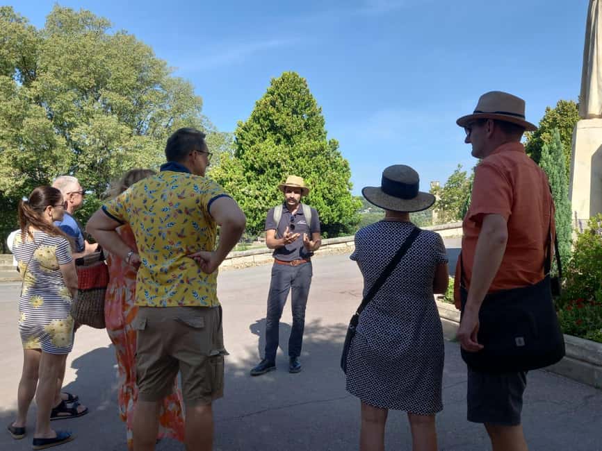 Avignon: City Walking Tour with Popes Palace Entry - Guide quality and group atmosphere