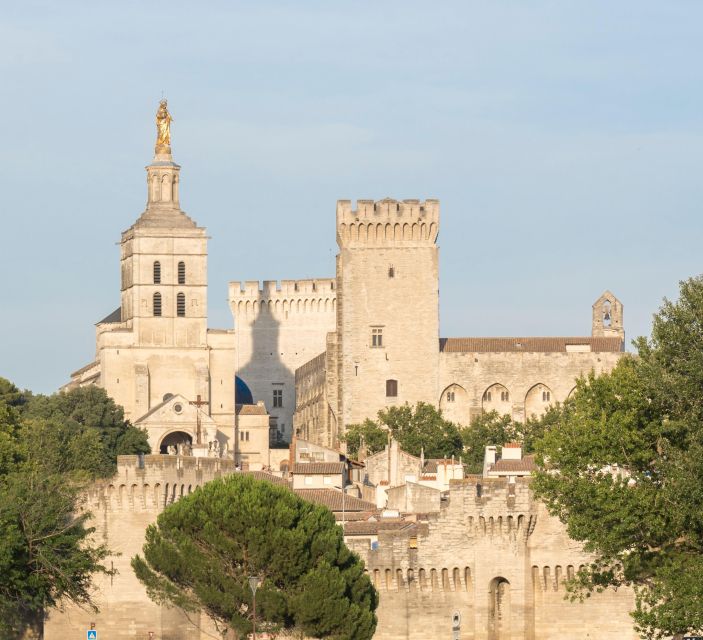 Avignon: City Walking Tour with Popes Palace Entry - My verdict: book it for the palace and the context