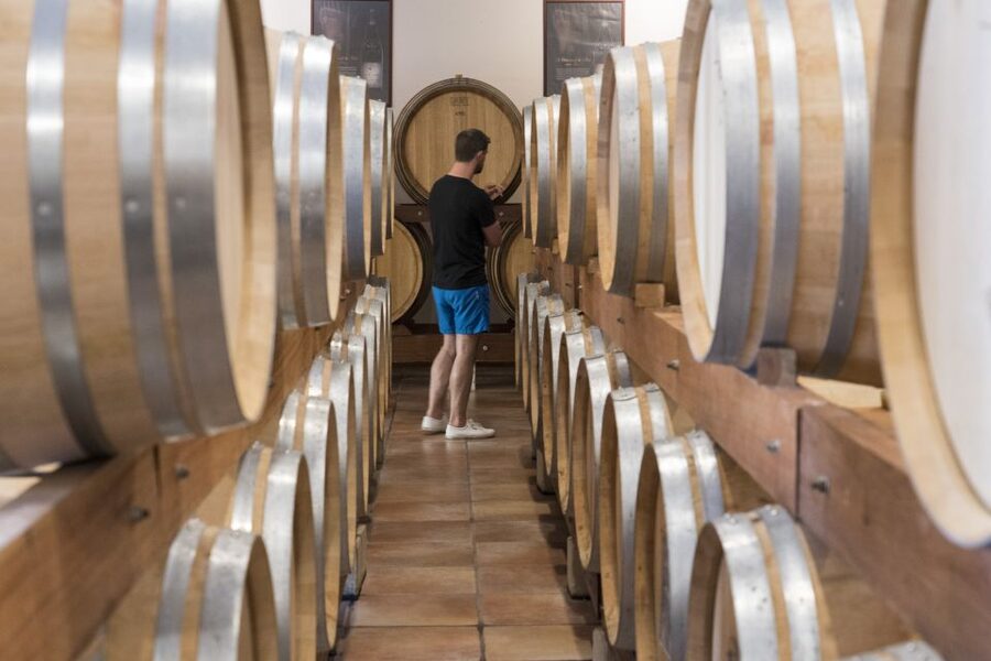Avignon: Full-Day Châteauneuf du Pape Wines & Luberon Tour - Lacoste and the Marquis de Sade’s castle