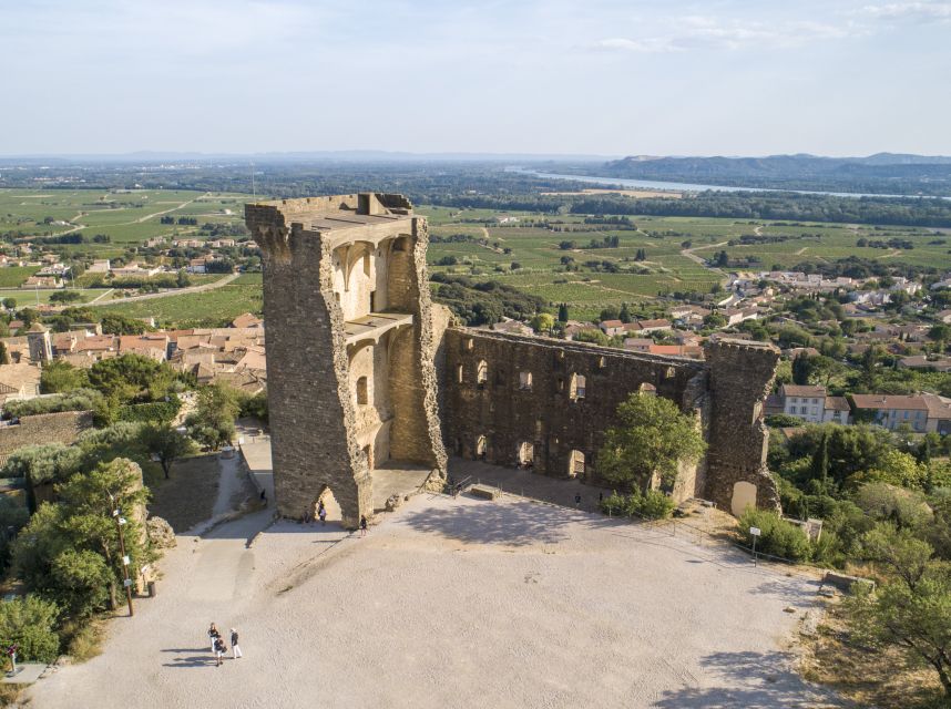 Avignon: Full-Day Châteauneuf du Pape Wines & Luberon Tour - Who should book this Provence day?