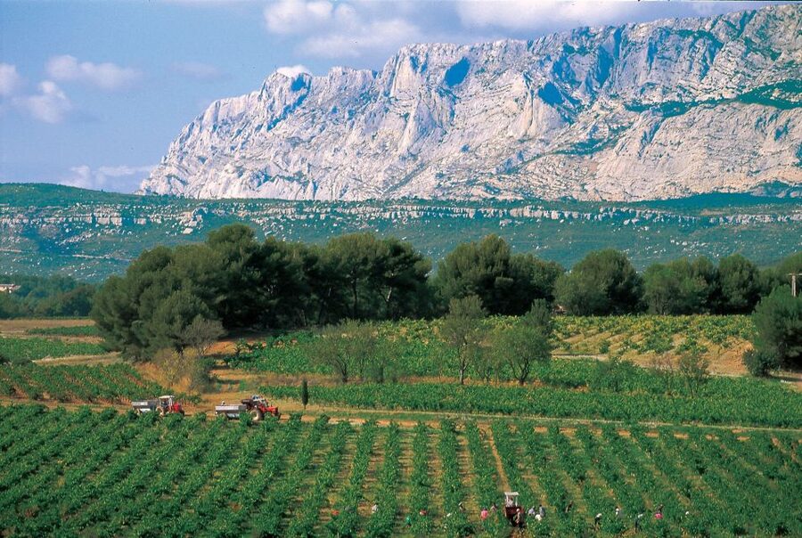 Avignon: Full-Day Wine Tour around Châteauneuf-du-Pape - Gigondas, Vacqueyras, and Séguret add useful contrast
