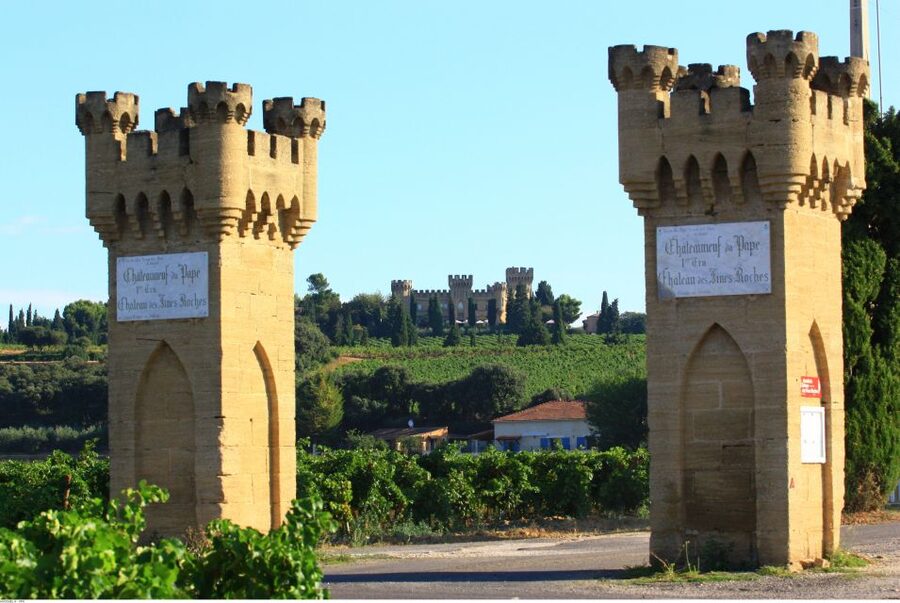 Avignon: Full-Day Wine Tour around Châteauneuf-du-Pape - The guides shape the whole day
