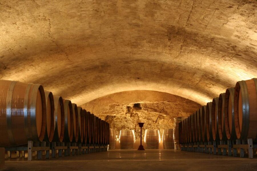 Avignon: Full-Day Wine Tour around Châteauneuf-du-Pape - Practical tips for a smoother day