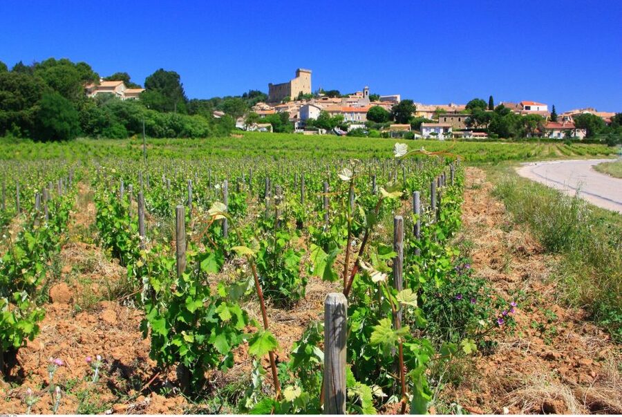Avignon: Full-Day Wine Tour around Châteauneuf-du-Pape - Châteauneuf-du-Pape: famous name, serious wine lesson