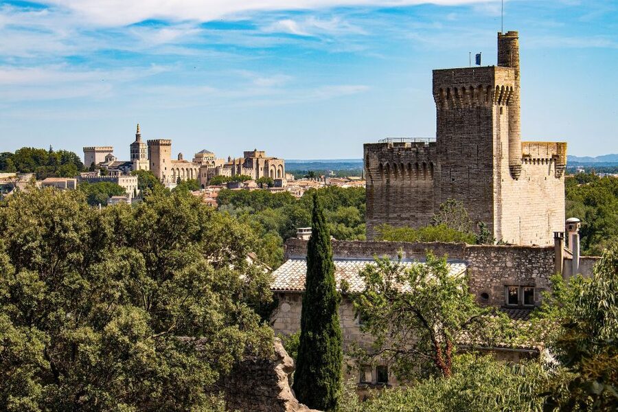 Avignon: Private Walking Tour – Discover History & Heritage - Walking through Old Avignon’s narrow lanes