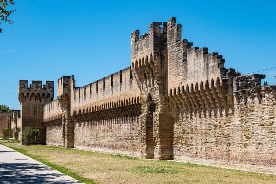 Avignon: Private Walking Tour – Discover History & Heritage - The Palace of the Popes, Avignon’s great centerpiece