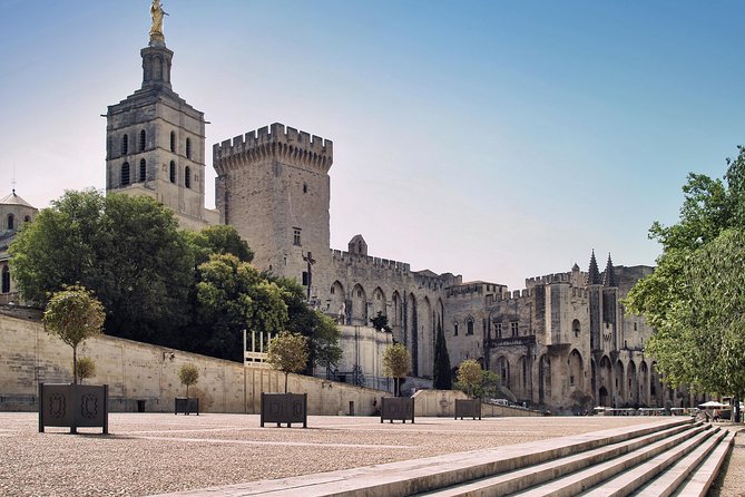 Avignon Walking Tour including Pope's Palace - Starting at 9 a.m. near the old city