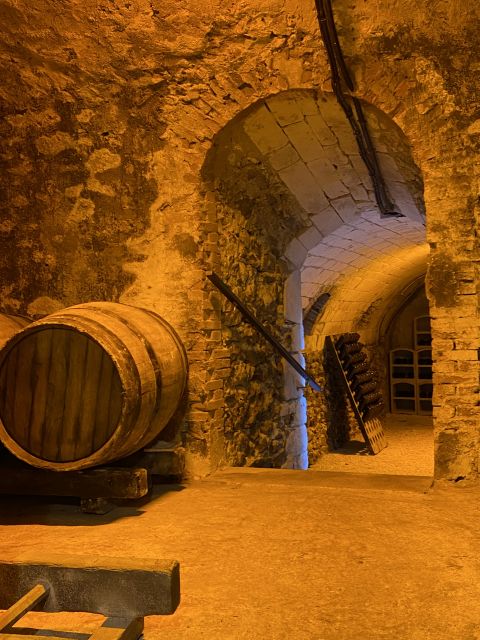 Aÿ-Champagne: Champagne House Tour and Tasting Class - Who should book this tour?