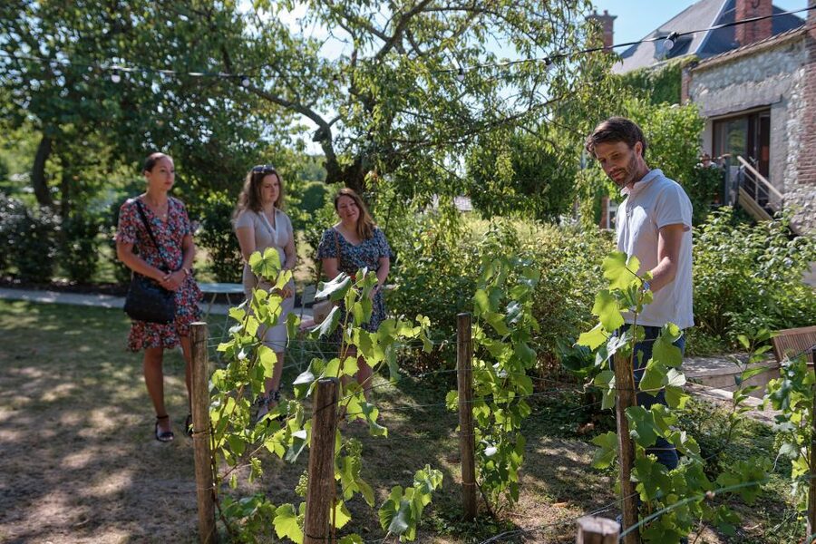 Aÿ-Champagne: Champagne House Tour and Tasting Class - Why the small-house setting matters