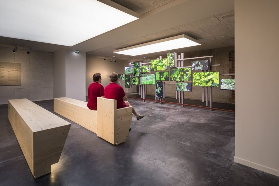 Aÿ-Champagne: Pressoria Champagne Museum with Tasting - A better way to enjoy the visit