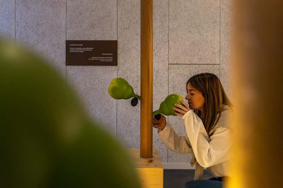 Aÿ-Champagne: Pressoria Champagne Museum with Tasting - Interactive rooms that work for adults and children