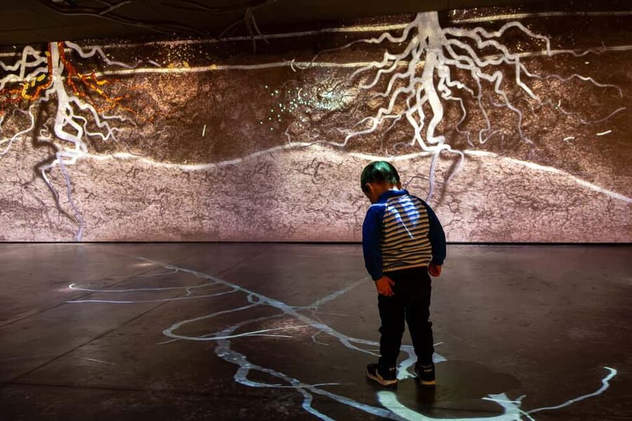 Aÿ-Champagne: Pressoria Champagne Museum with Tasting - The soil-to-bottle story