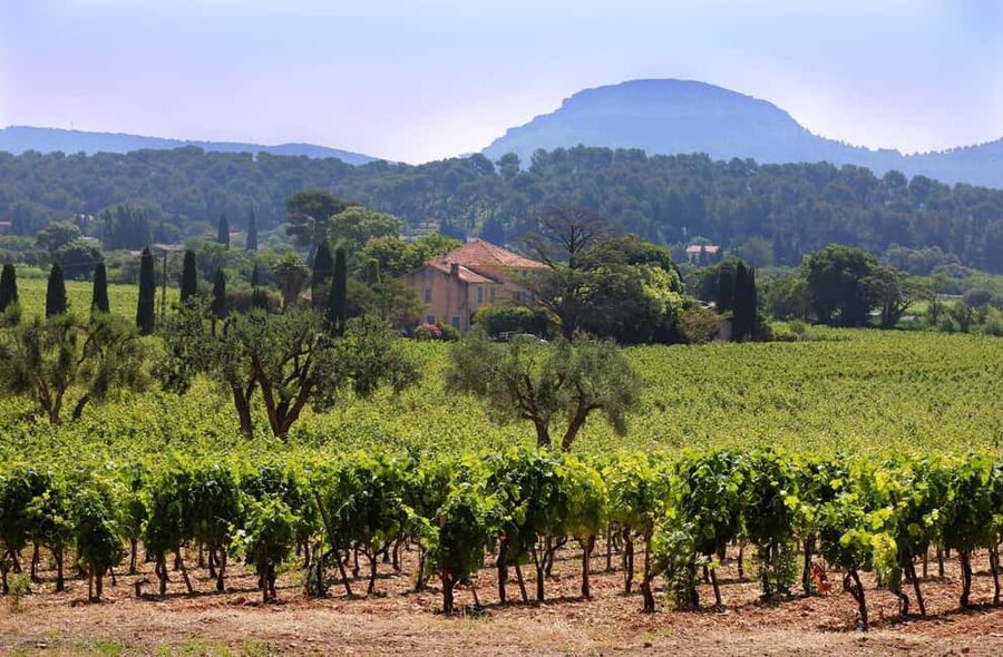 Bandol and Cassis: Full Day Wine Tour from Marseille - The day in five useful details