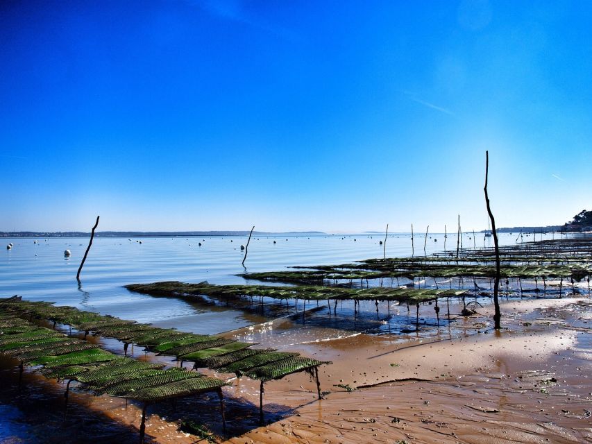 Bay of Arcachon: Guided Food Tour - Key points to know before booking