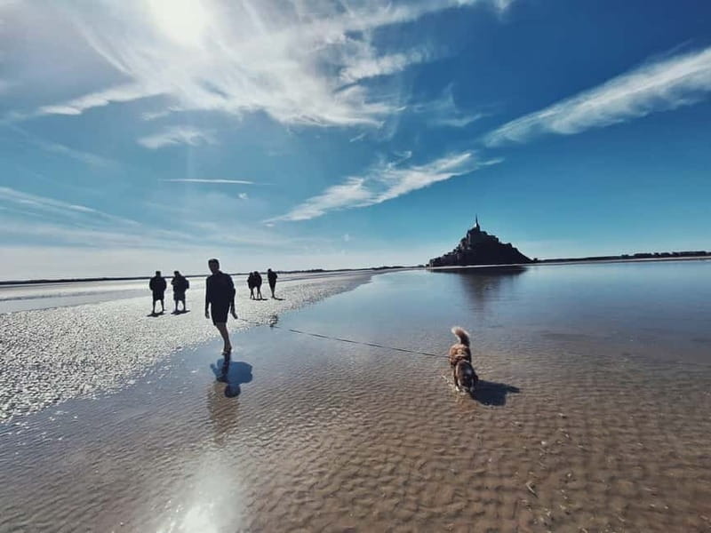 Bay of Mont Saint-Michel : Quicksands And Discovery - Why This Bay Walk Feels Different