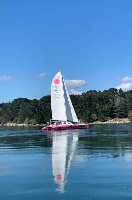 Bay of Quiberon or Morbihan gulf: Evening 2 hours navigation - The catamaran makes a real difference