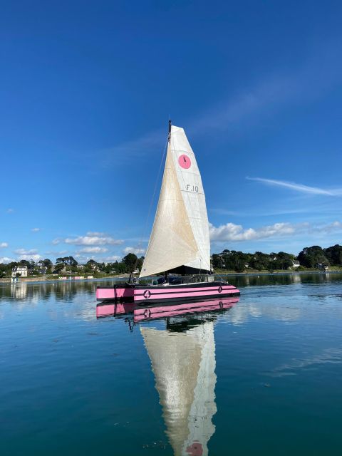 Bay of Quiberon or Morbihan gulf: Evening 2 hours navigation - What to wear and bring onboard