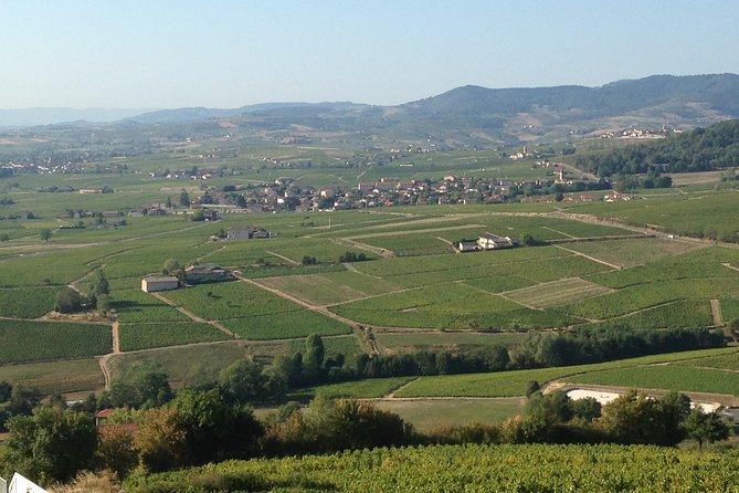 Beaujolais Crus Wines & Castles (2:00 pm - 6:30 pm) - Small Group Tour from Lyon - Is $130.61 a fair price?