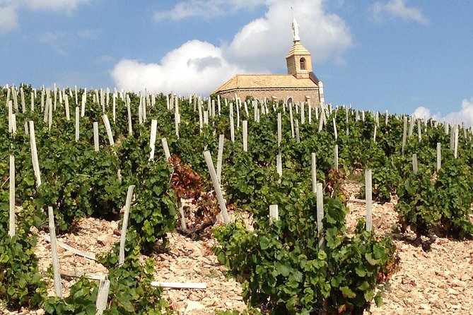 Beaujolais Crus Wines & Castles (2:00 pm - 6:30 pm) - Small Group Tour from Lyon - Who will enjoy this tour most?