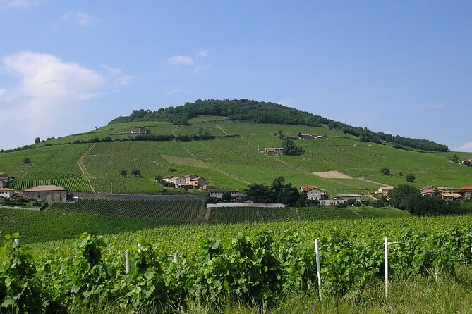 Beaujolais Half Day Wine Tasting Tour - Leaving Lyon for the Beaujolais Wine Route