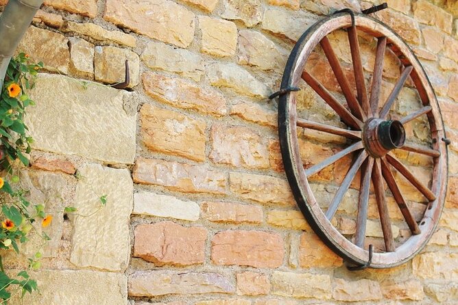 Beaujolais wine tour from Lyon half day - Le Bois-d’Oingt and the family estate visit