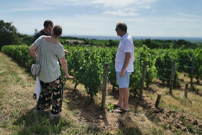 Beaujolais wine tour from Lyon half day - What the tour does well, and where it falls short