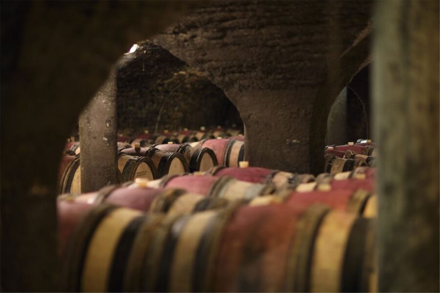 Beaune: Maison Champy Guided Cellar Tour with Wine Tasting - The five-wine tasting: Terroir or Prestige
