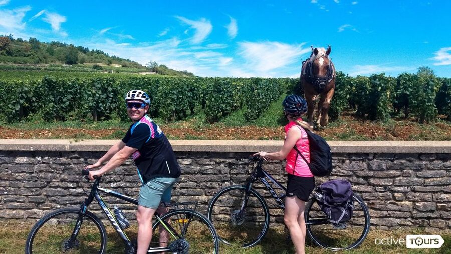 Beaune: Winery Tour by Bike with Wine Tasting - Starting beside Beaune’s Parc de la Bouzaize