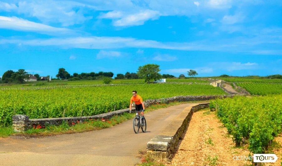 Beaune: Winery Tour by Bike with Wine Tasting - Learning what Burgundy’s Climats mean