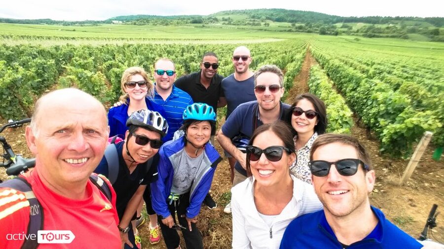 Beaune: Winery Tour by Bike with Wine Tasting - Who will enjoy this three-hour ride?