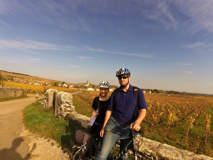 Beaune: Winery Tour by Bike with Wine Tasting - Riding through Pommard’s famous vineyards