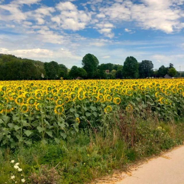 Bike tour from Vernon to Giverny with local guide - Entering Giverny by the local route