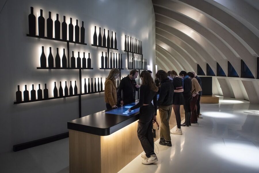 Bordeaux: Cité du Vin Entry Ticket and Wine Tasting - What you learn about making and drinking wine