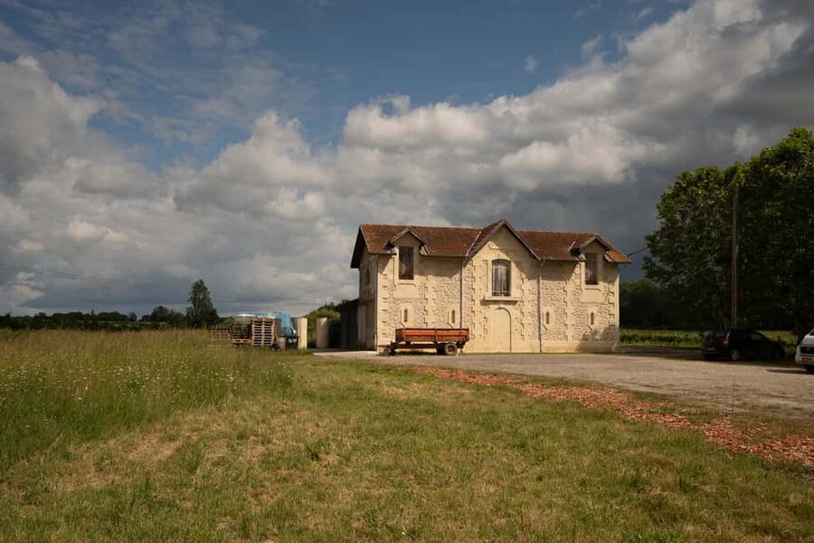 Bordeaux: Explore an Organic Family Vineyard with Tasting - Practical advice before you go