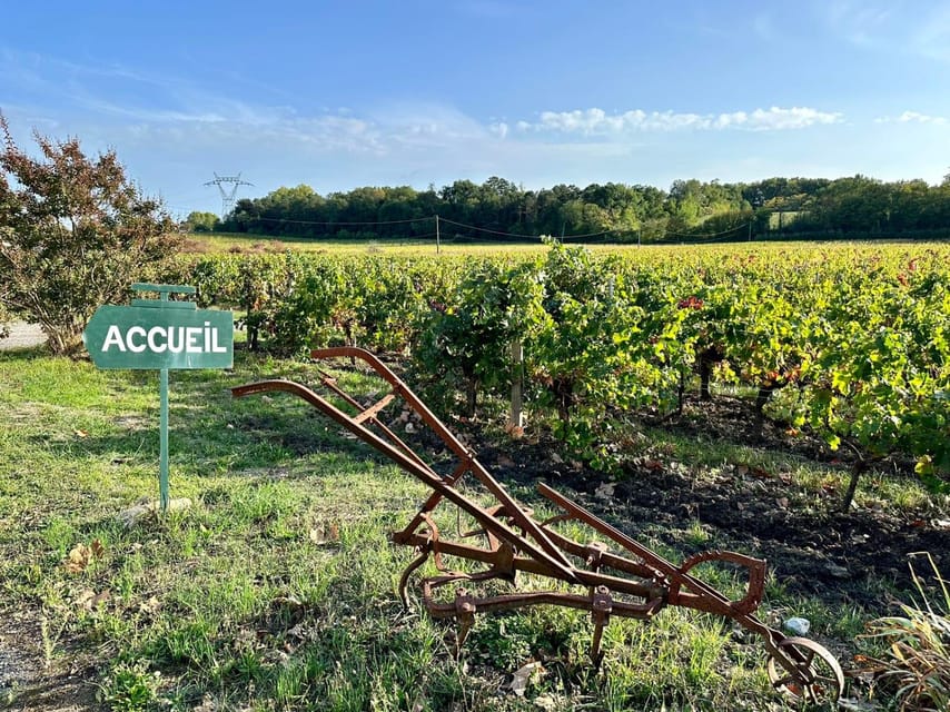 Bordeaux: Explore an Organic Family Vineyard with Tasting - The value of $21