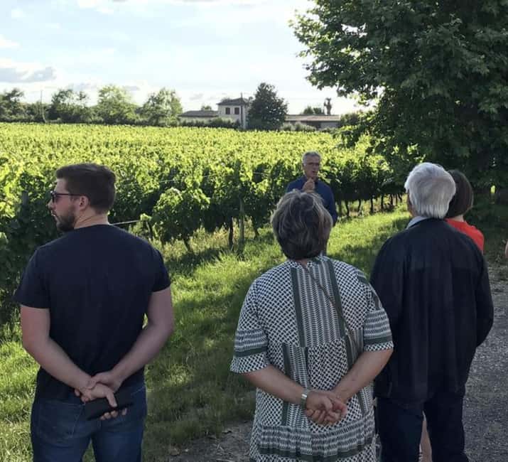 Bordeaux: Explore an Organic Family Vineyard with Tasting - Start with Bordeaux’s 65 appellations