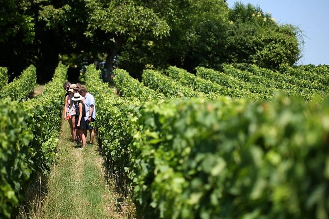 Bordeaux Full day Medoc and St Emilion 3 chateaux with Lunch - A château garden lunch in the middle of the day