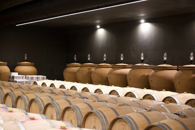 Bordeaux : Full Day Wine Tastings & Gourmet Lunch - A traditional three-course lunch breaks up the day