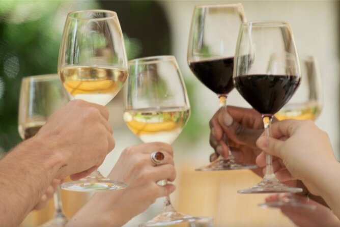 Bordeaux : Full Day Wine Tastings & Gourmet Lunch - Who will enjoy this day most