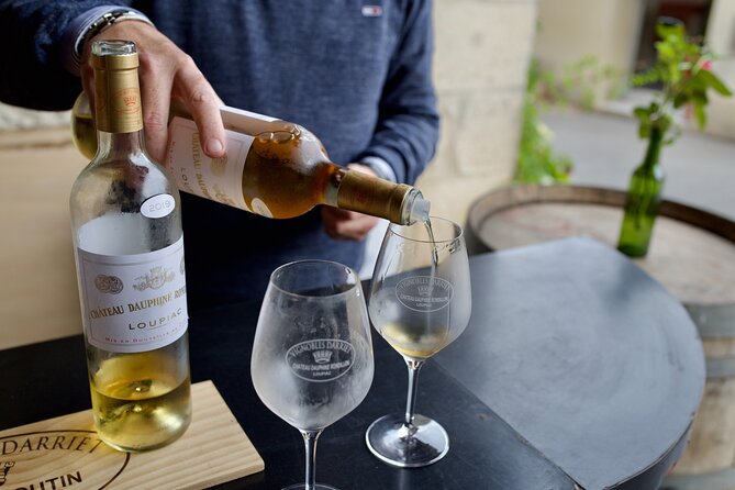 Bordeaux : Full Day Wine Tastings & Gourmet Lunch - Three château visits in the Bordeaux countryside