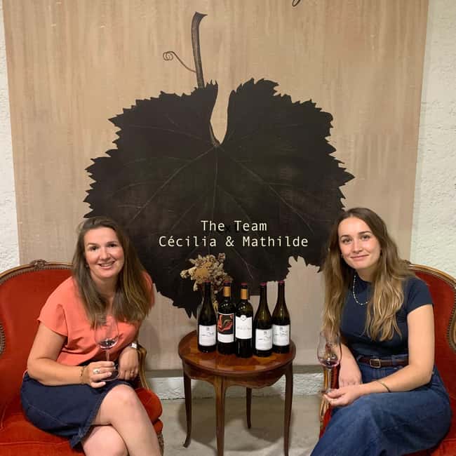 Bordeaux: Guided Bordeaux Wine Tasting Class with 6 Wines - Six wines, several Bordeaux ideas