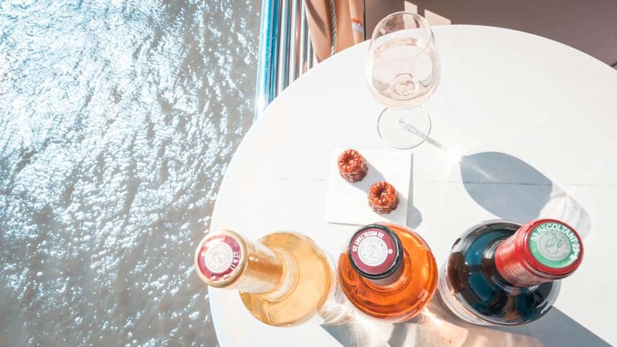 Bordeaux: Guided Wine and Canelé Discovery Cruise - Quinconces, Chartrons, and the changing riverfront