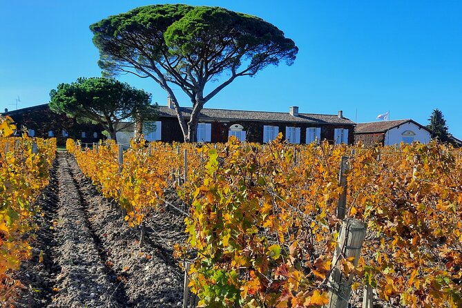 Bordeaux Médoc Region Private Wine Lovers Tour with Chateau Visits & Tastings - Why a private Médoc day works so well