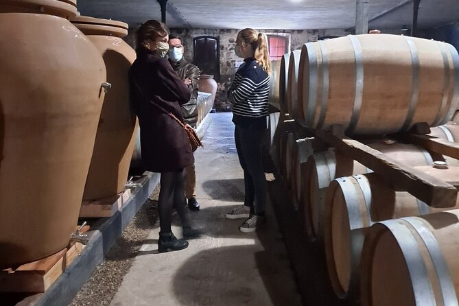 Bordeaux Médoc Region Private Wine Lovers Tour with Chateau Visits & Tastings - What the $659.04 price really buys