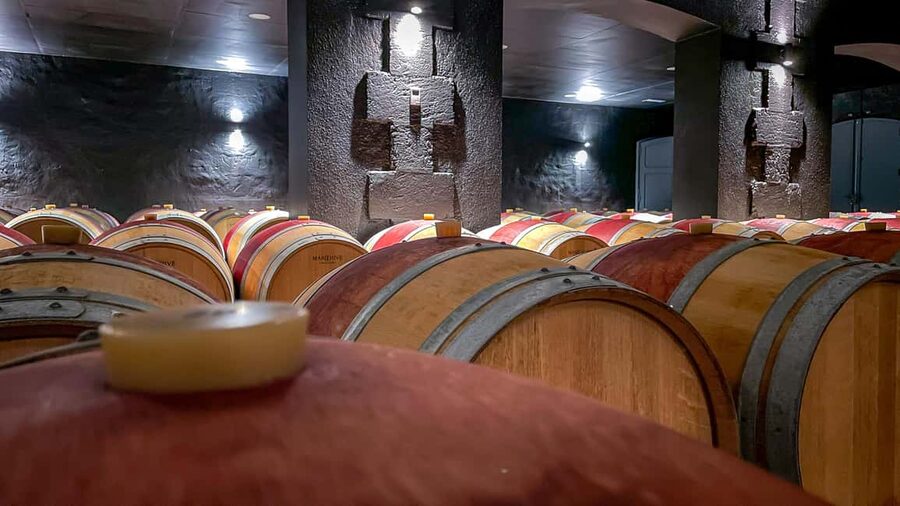 Bordeaux: Saint-Emilion and Medoc Full-Day Wine Experience - The first château and the Right Bank tasting