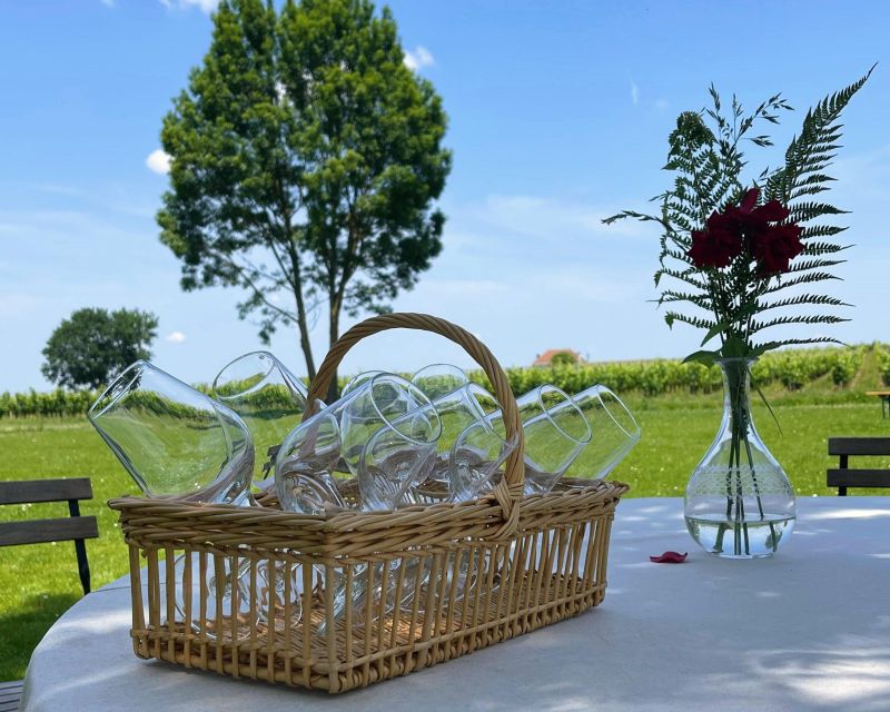 Bordeaux: Saint-Emilion Village Day Trip, 2 Chateaux & Lunch - Key Points Before You Book