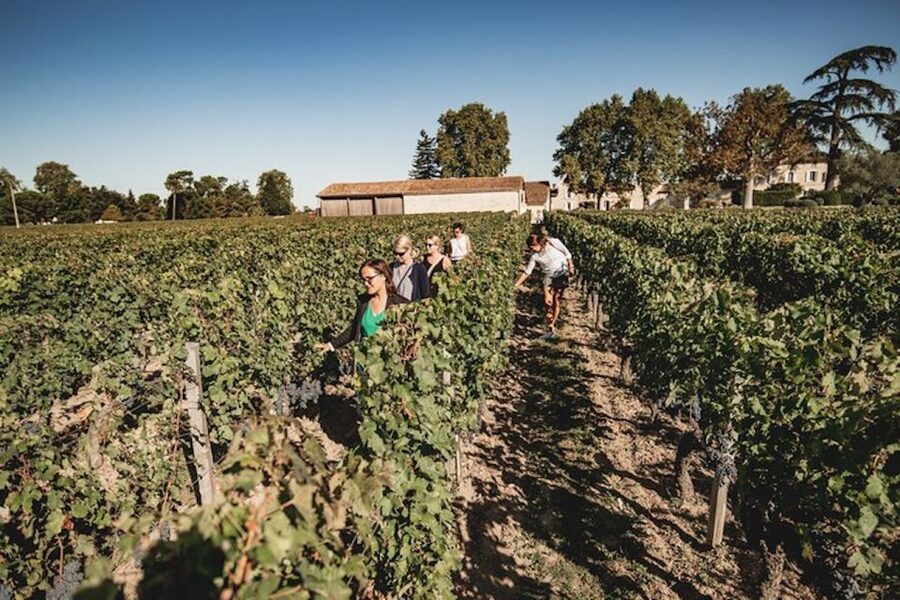 Bordeaux: St-Emilion and Medoc Wine Day Tour with Lunch - Meeting at 9:00 a.m. in central Bordeaux